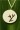 Waterlily Medallion Cutout Necklace