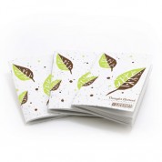 Botanical Paperworks Thought Plotters Plantable Pocket Notebooks 3 Pack - Green Leaf
