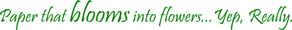 plantable-seed-paper.png