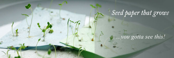 seed-paper.png seed-paper.png