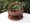 Collapsible Wooden Basket 8 inch One Compartment