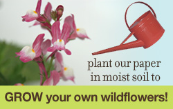 botanical_paper.jpg botanical_paper.jpg